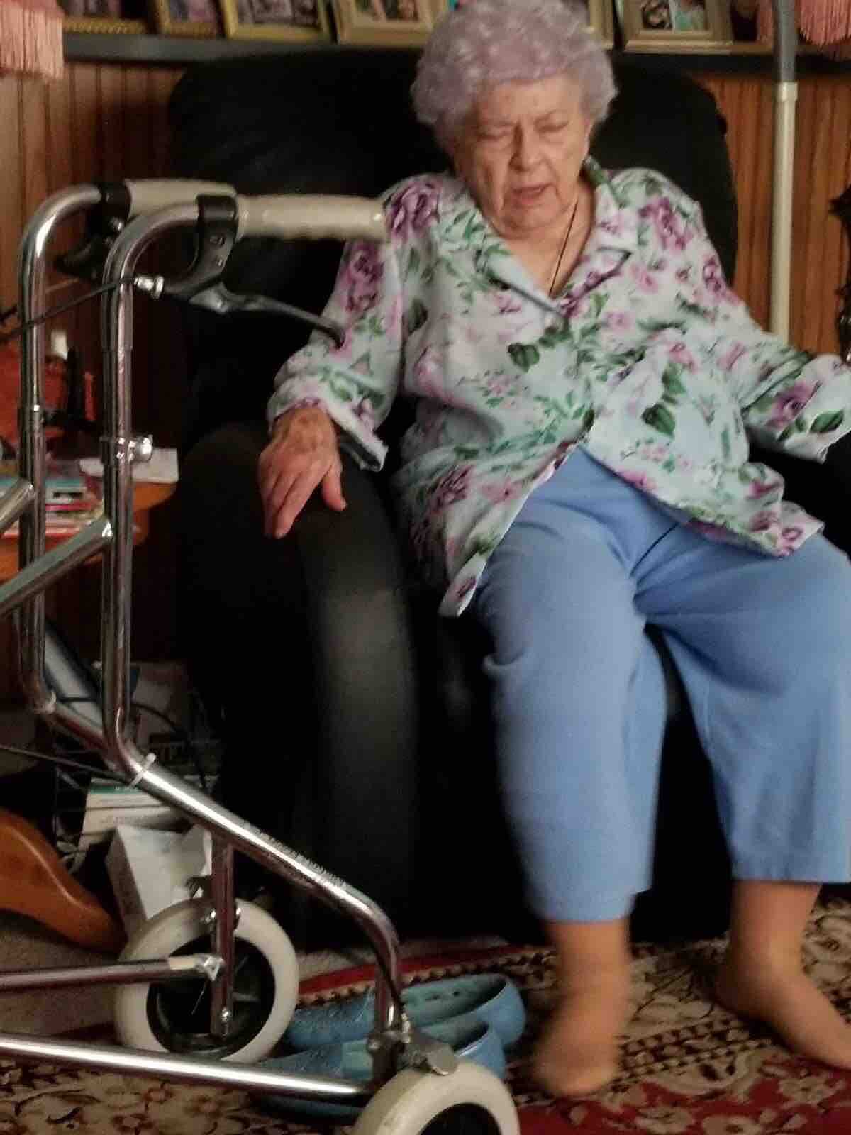 Fundraiser by Donna Agnew : 89 Year Old Taken For Everything