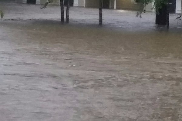 Hurricane Harvey: Mom, 6 Kids, 2Dogs photo