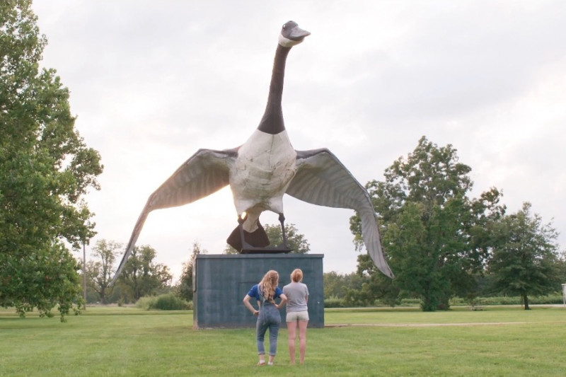 Fundraiser by Debbie Jackson Save The World's Largest Goose