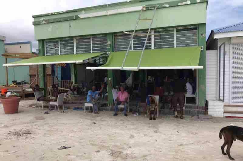 Lazy Lizard - Hurricane Irma  photo