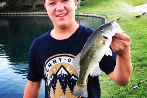 Please help & support Arty.   photo