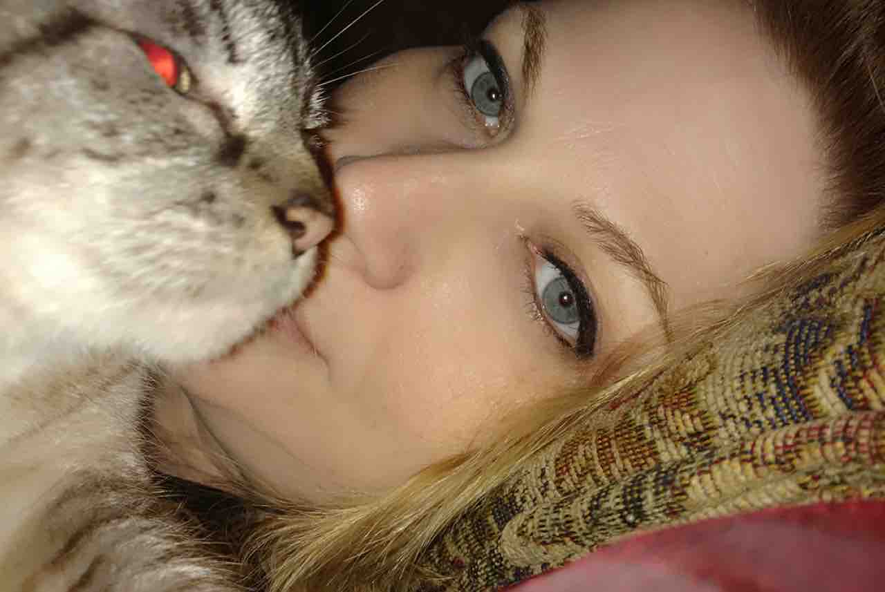 Rachel Anne Fire Fund photo