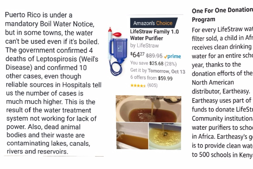 Fundraiser by Maria Ruiz Good Life Straws for Puerto Rico