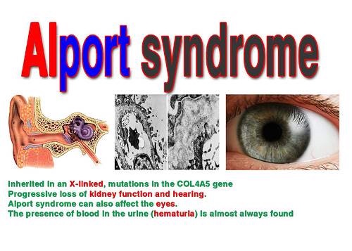 28340336_1520876744.7136_funddescription