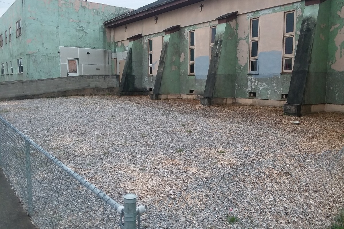 29039652_15235772550_r.jpeg