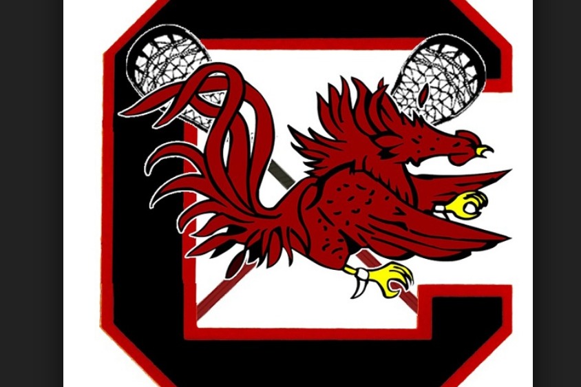 fundraiser by university of south carolina womens lacrosse uofsc university of south carolina lacrosse