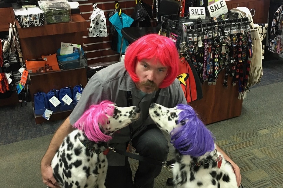 29386968_15246011750_r.jpeg