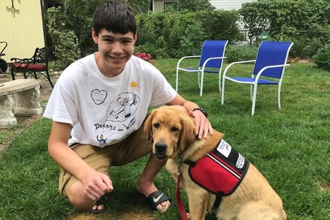 Licks 4 Liam- Service Dogs Help! photo