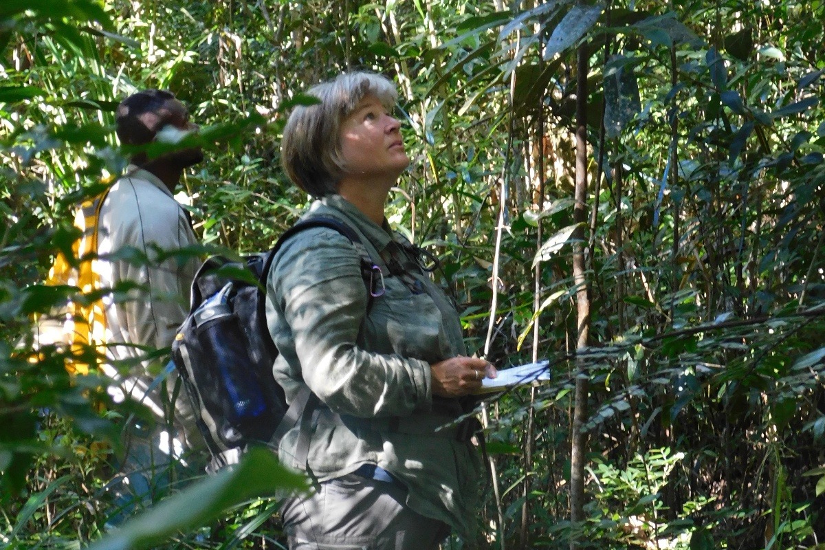 Fundraiser by Claire Cardinal Stop Lemur Hunting in Madagascar