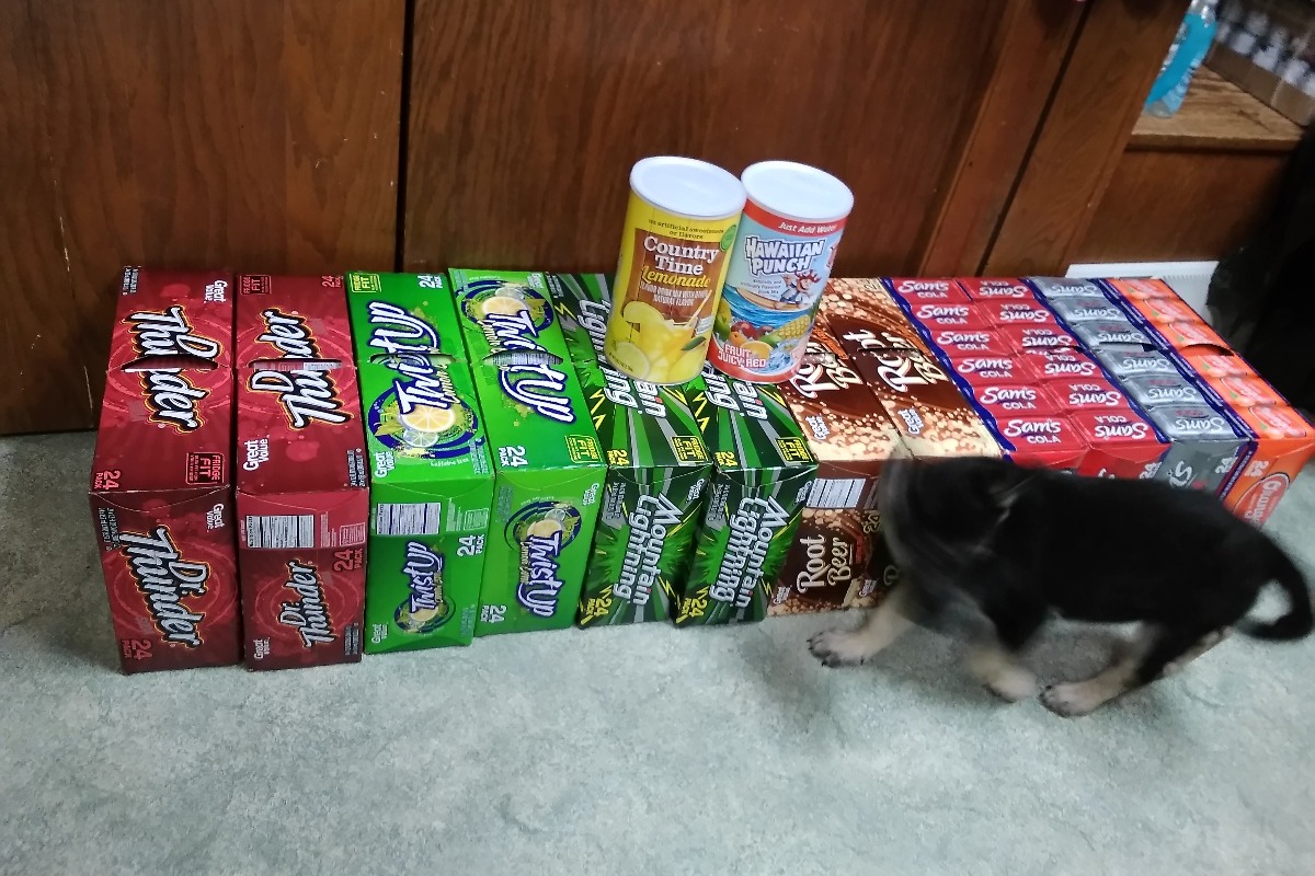 30622822_1529813225497757_r.jpeg