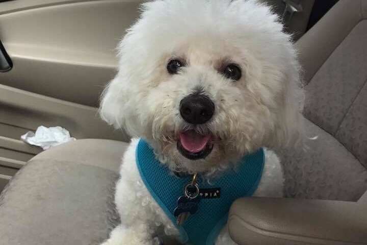 Help Buddy !!! photo