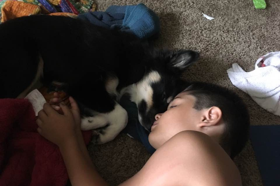 31901726_1533476091302337_r.jpeg