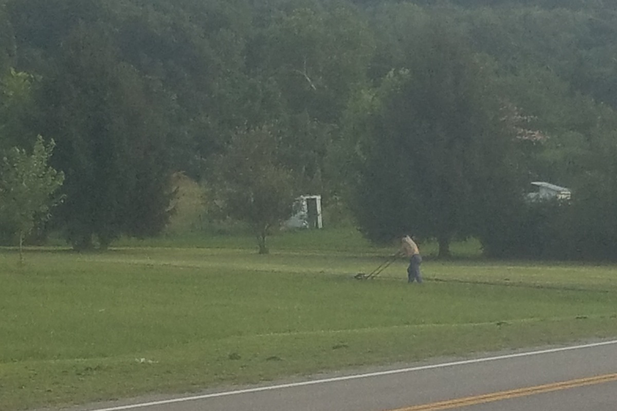 Fundraiser by James Johnston : Lawn mower for family in need!