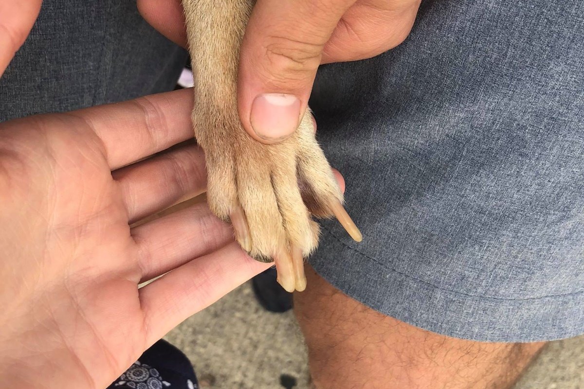 32247716_1534617567420778_r.jpeg