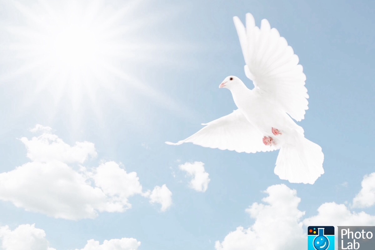 Fundraiser by John Boyle rewrite