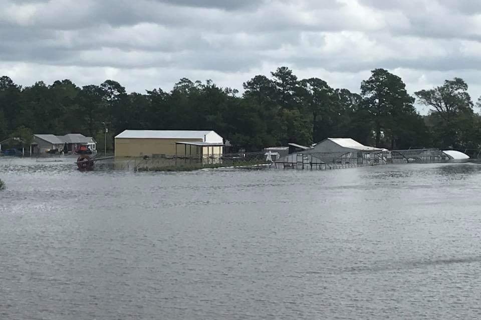 Fundraiser for Michelle Parker by She Detector Help Parker Farms