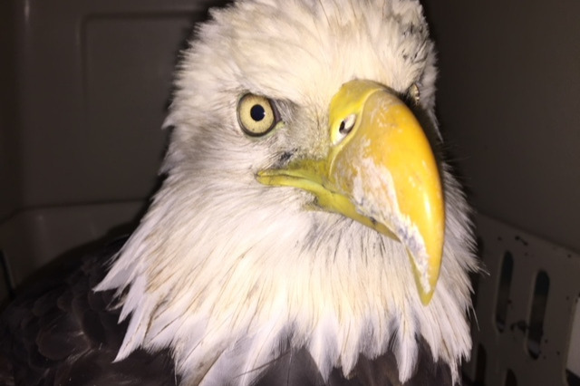 33313972_1538091871277063_r.jpeg