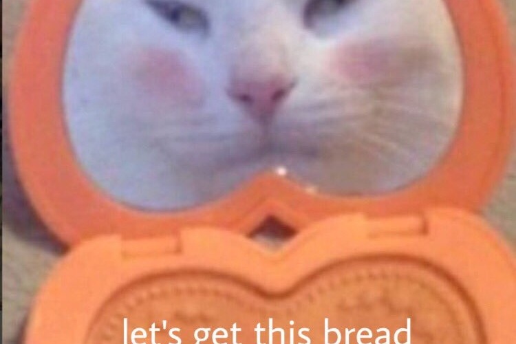 34369332_1541784749597379_r.jpeg