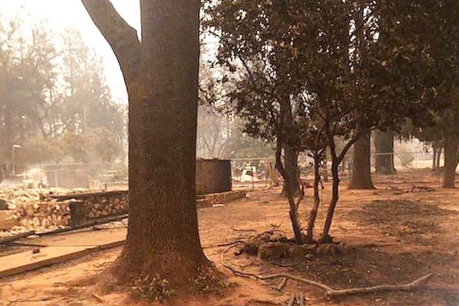 Support families in Paradise photo