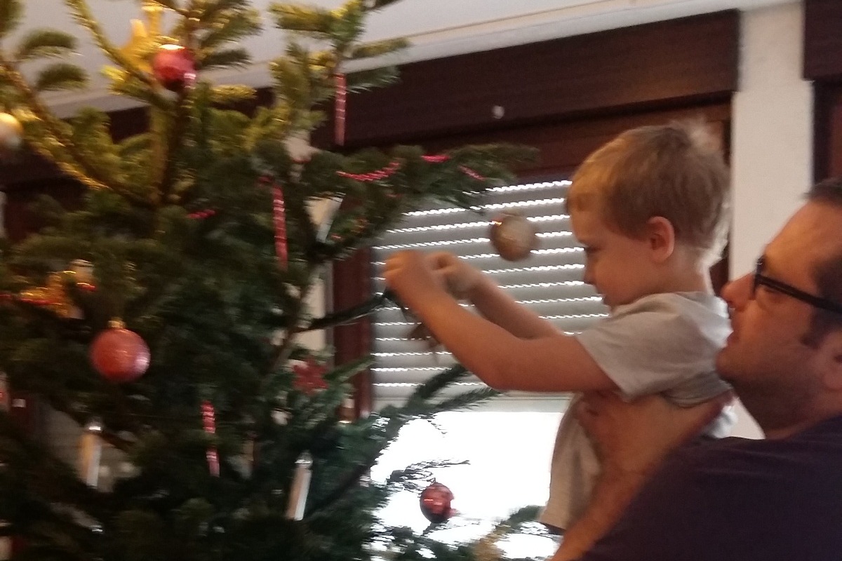 35288762_15459291640_r.jpeg