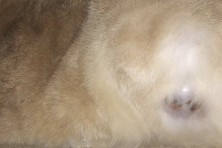 35925876_1546651756770041_r.jpeg