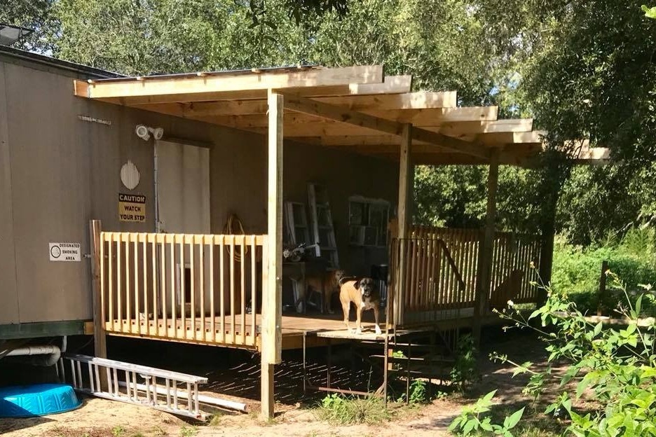 Fundraiser by Ralph Roland The Big Dog Haven Senior Dog Home