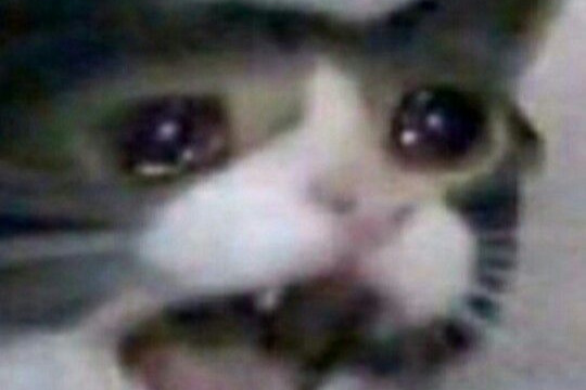 36868364_1549475981303015_r.jpeg