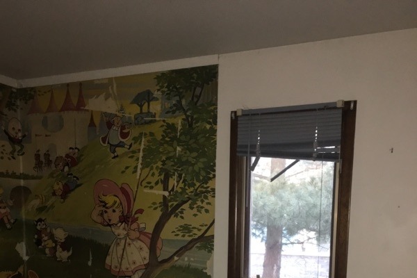 36921070_1549810553378619_r.jpeg