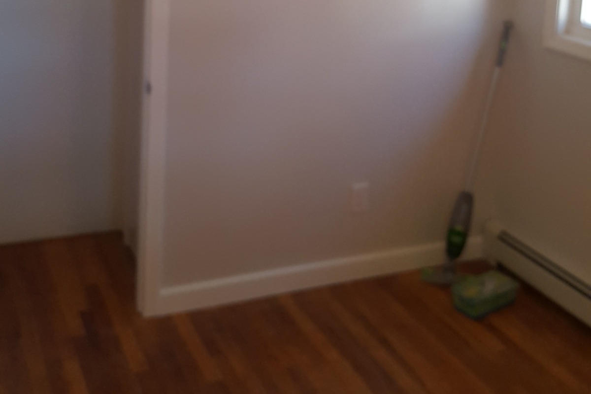 36921070_154981198877954_r.jpeg