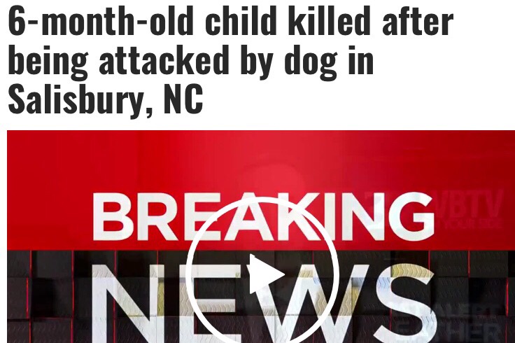 Jacari Long Funeral and Memorial photo