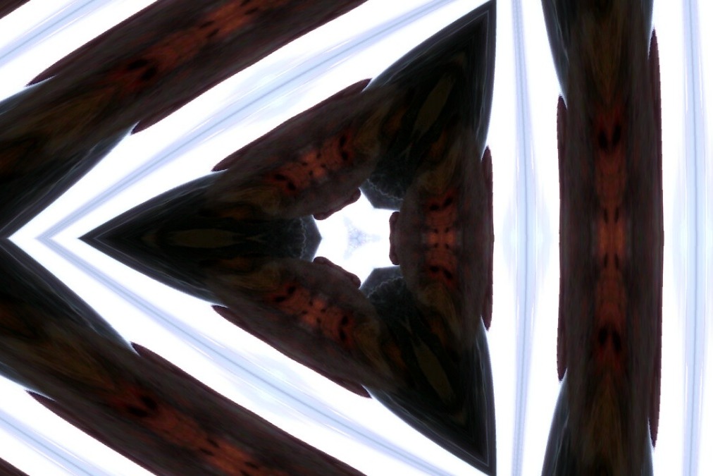 38011902_1553539356982880_r.jpeg