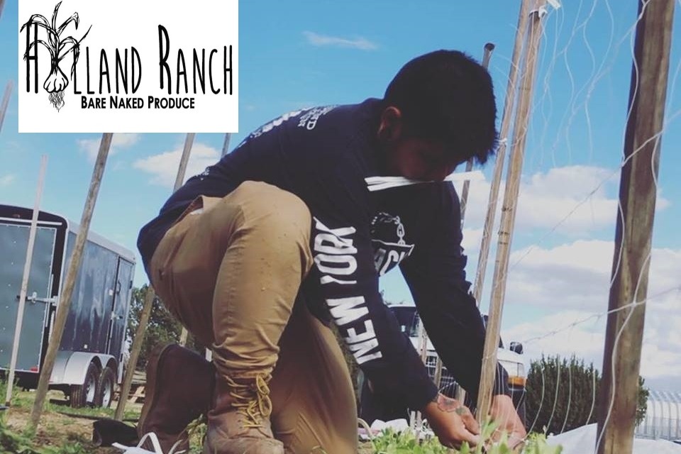 Fundraiser for Vidal Soto by Eric Navarro Support Locally Grown Produce