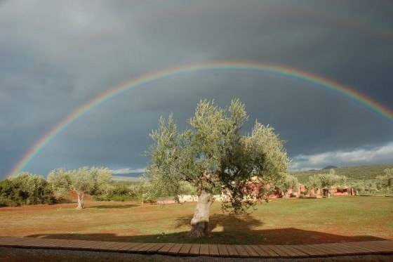 Invitation to Support my dream of starting a Organic farm