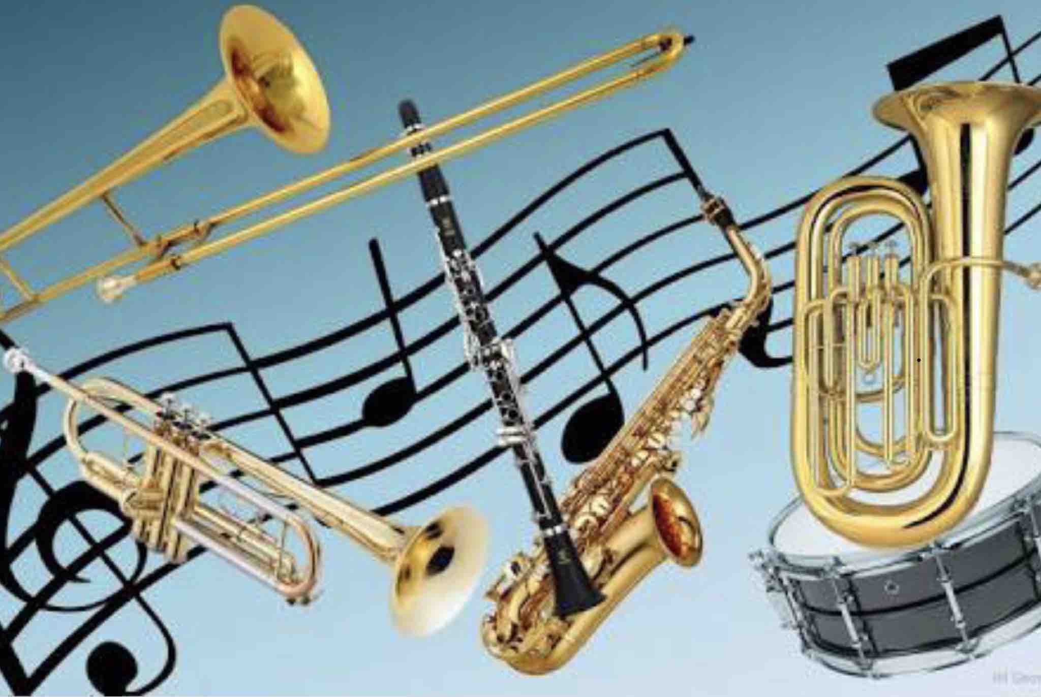 Духовые язычковые музыкальные инструменты. Кой музыкальный. Струнные смычковые и щипковые инструменты. Какой музыкальный инструмент вам подходит. Звучание музыкальных инструментов.