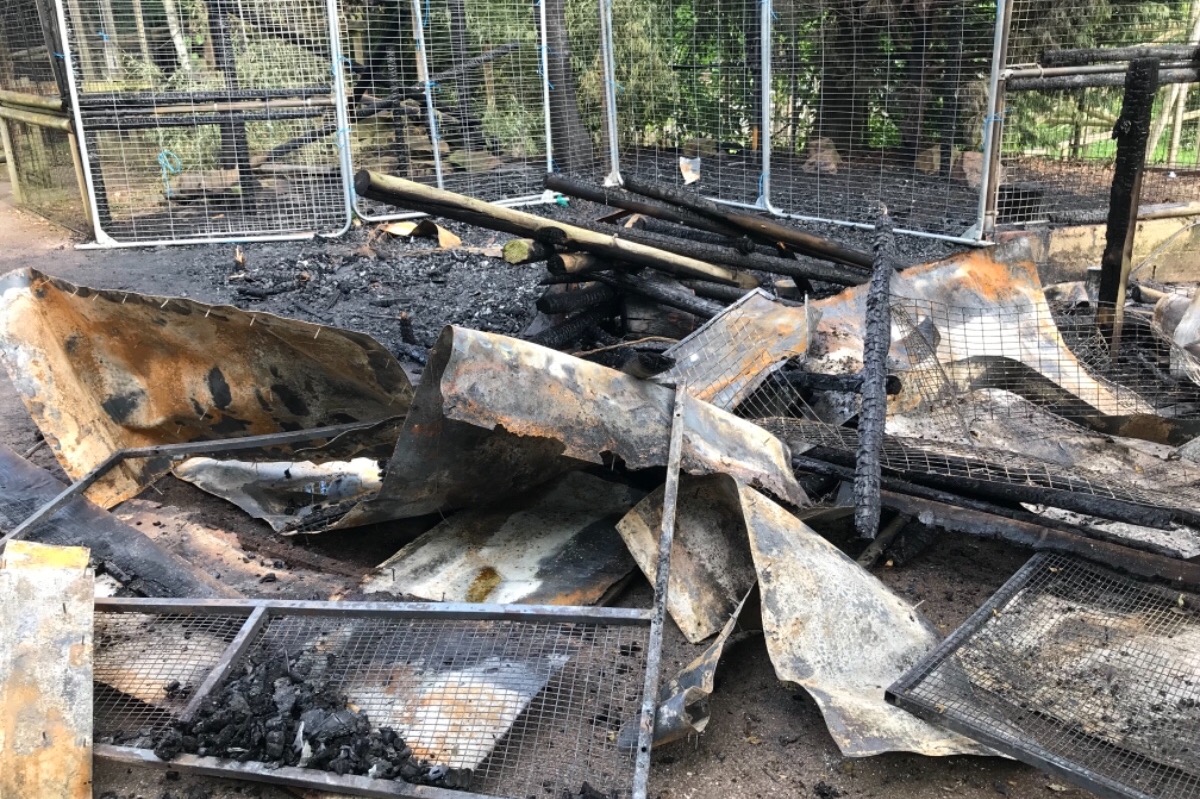 Birmingham Wildlife Conservation Park News 2019