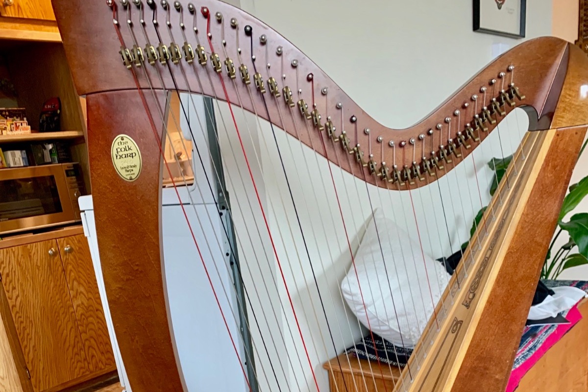 Buy A Harp >> Fundraiser By Joel Benjamin Please Help Me Buy This Harp Buy A Harp >> Fundraiser By Joel Benjamin Please Help Me Buy This Harp
