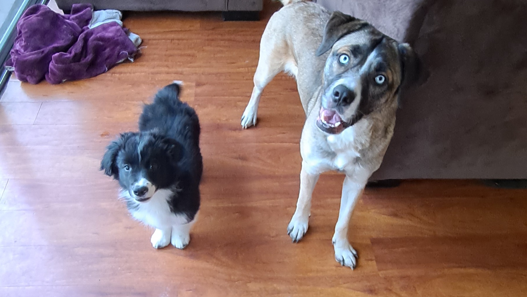 Help Us Keep Our Home During Job Transition photo
