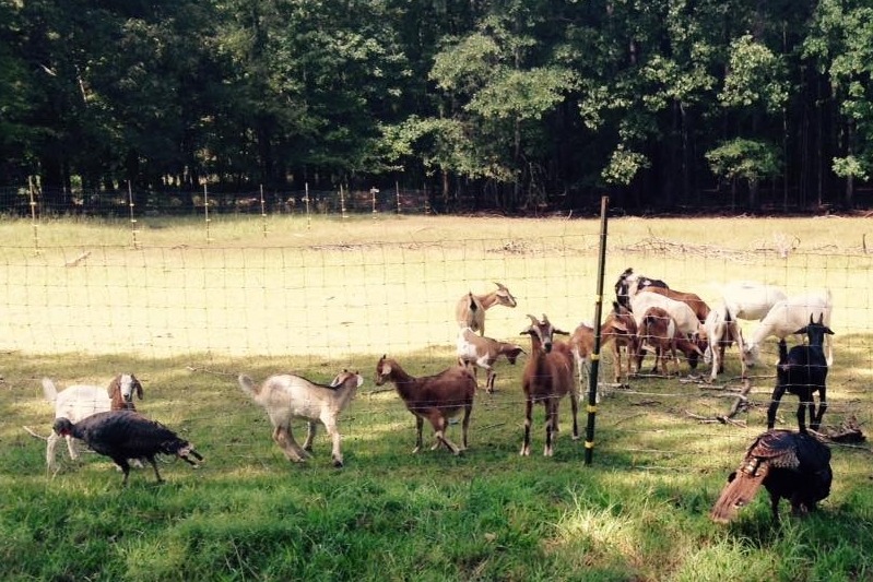 Fundraiser by Joe Watts Hamer Hall