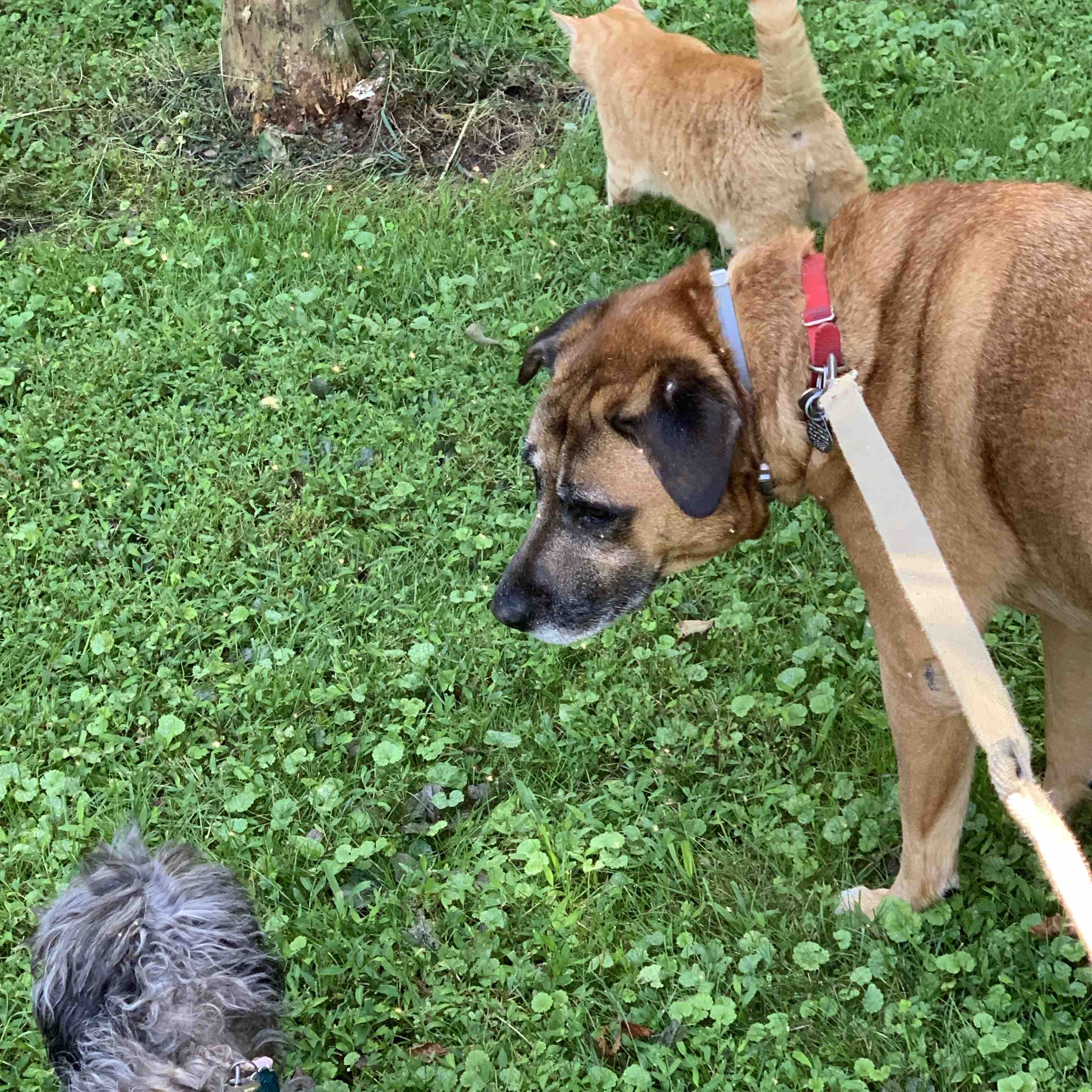 Carol’s Moving Fund photo