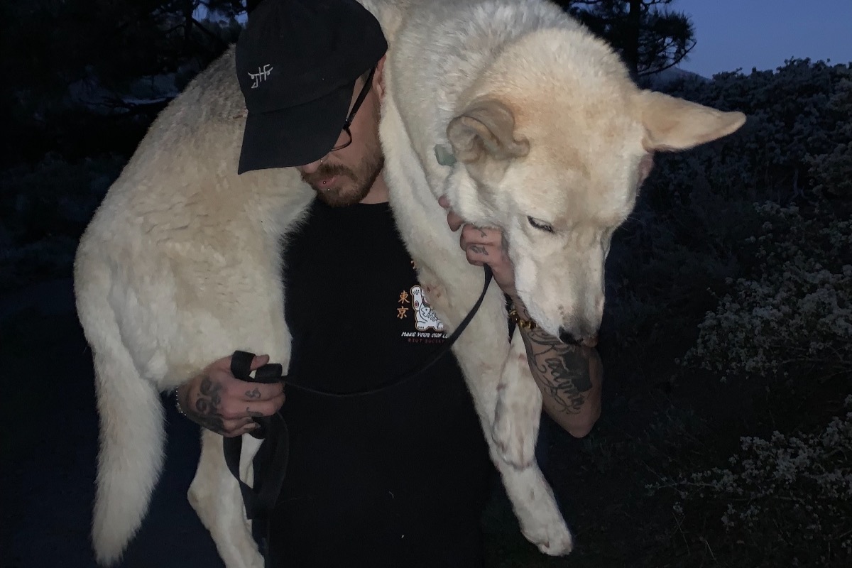 Help Thor Walk Again photo