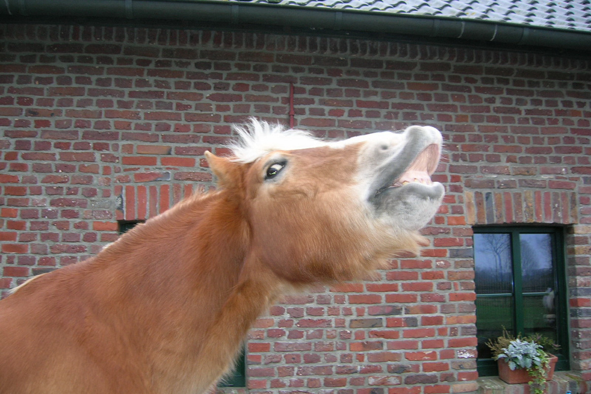 42298342_1569481503876497_r.jpeg