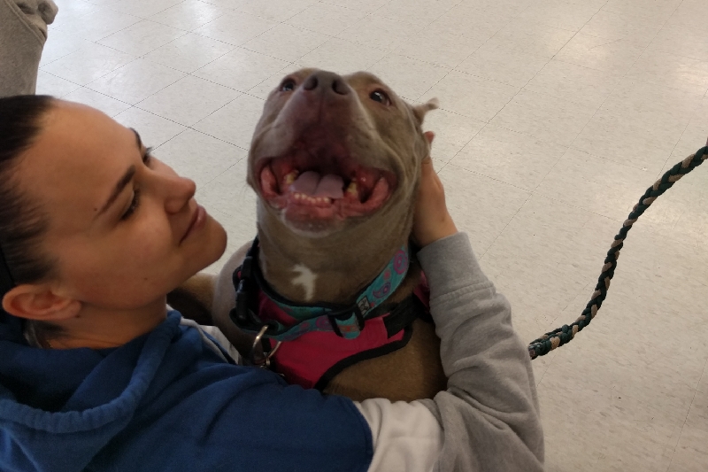 Nika And Nadine Need Our Help! photo