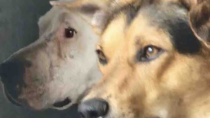 Need a fresh start and help photo