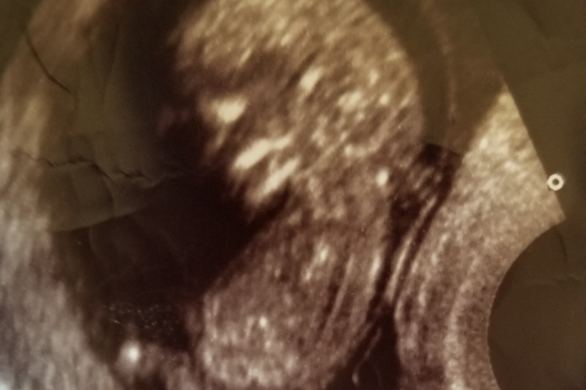 Monte Faerber Jr Funeral Fund photo