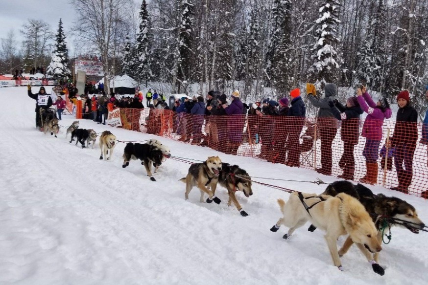 Fundraiser for Jeremy Keller by Gaia Marrs Get Jeremy to the Iditarod