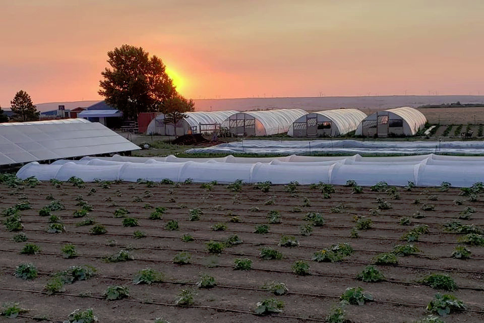 Help Our Beloved Ahavah Farm photo
