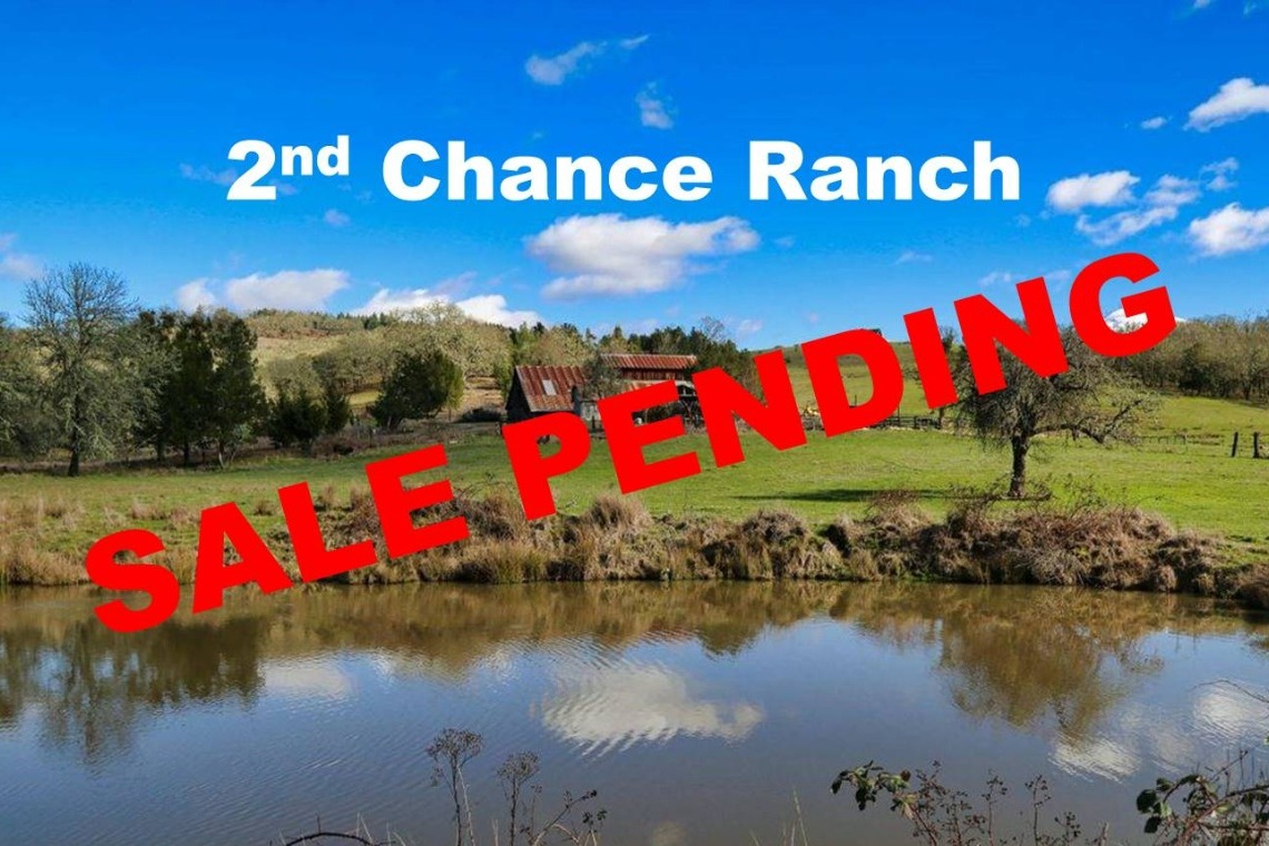 Fundraiser by David Grammon 2nd Chance Ranch