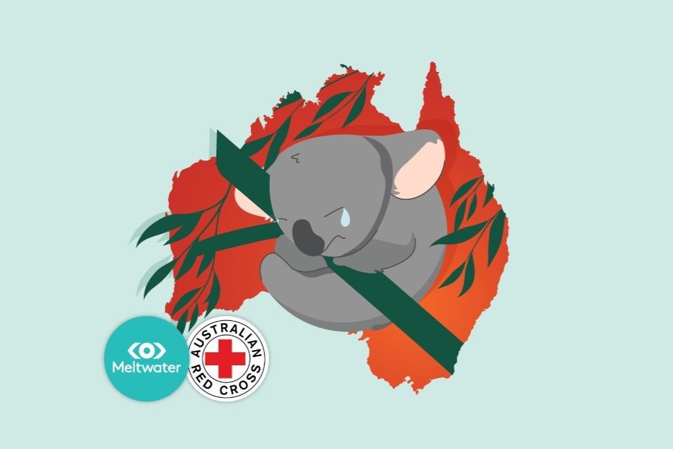 Meltwater Emergency Bushfire Relief Fund photo