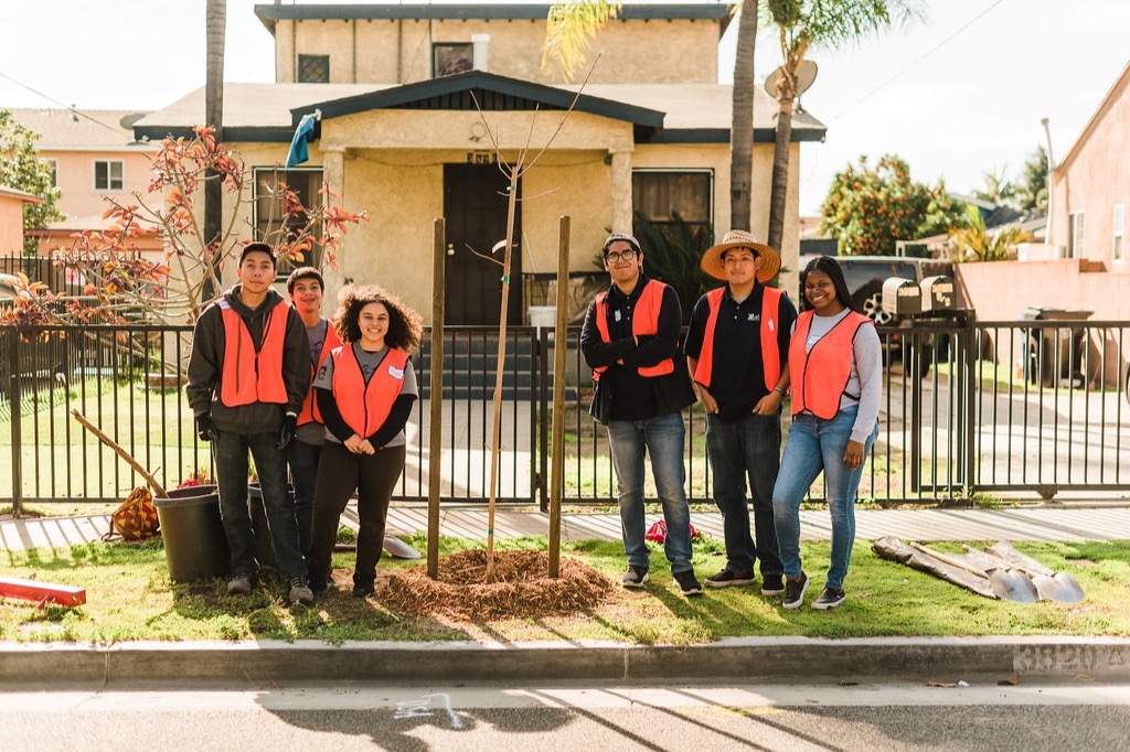 LP167 Planting Fruit Trees in Food Deserts photo