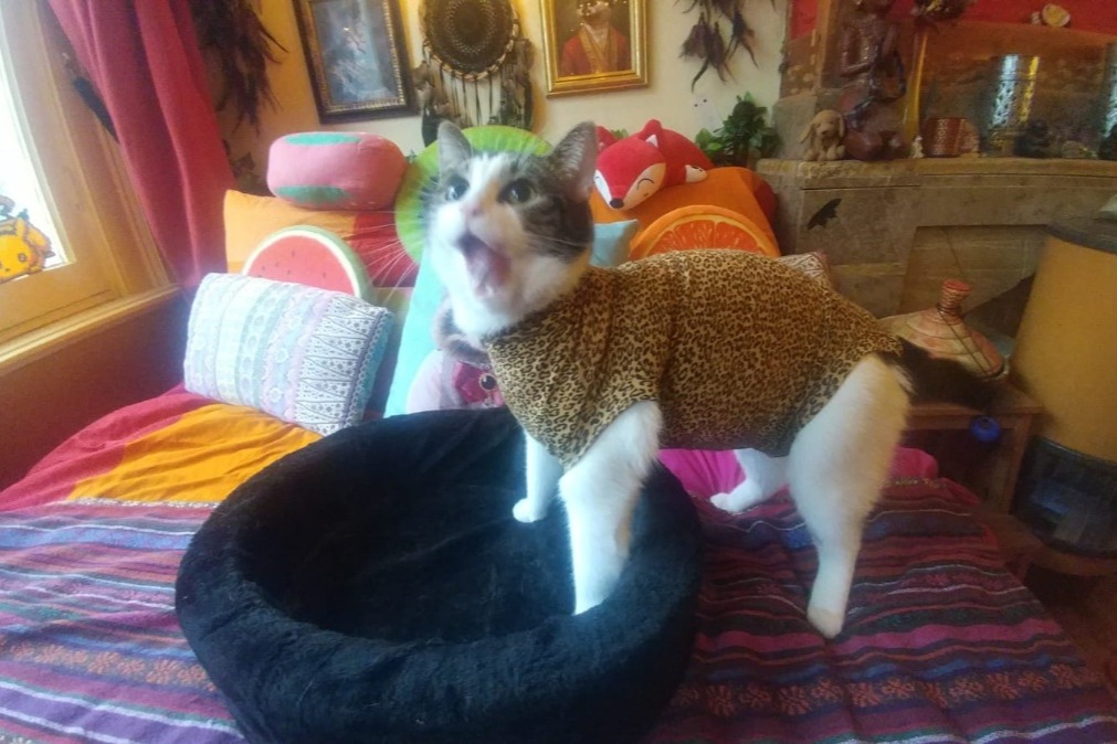 45220942_1580730443615609_r.jpeg
